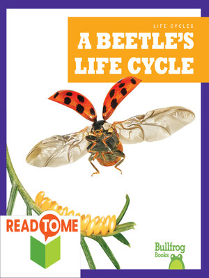 cover image of A Beetle's Life Cycle